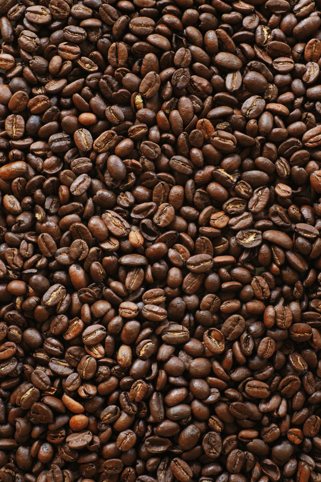 Grãos de café sobre fundo escuro, edição limitada