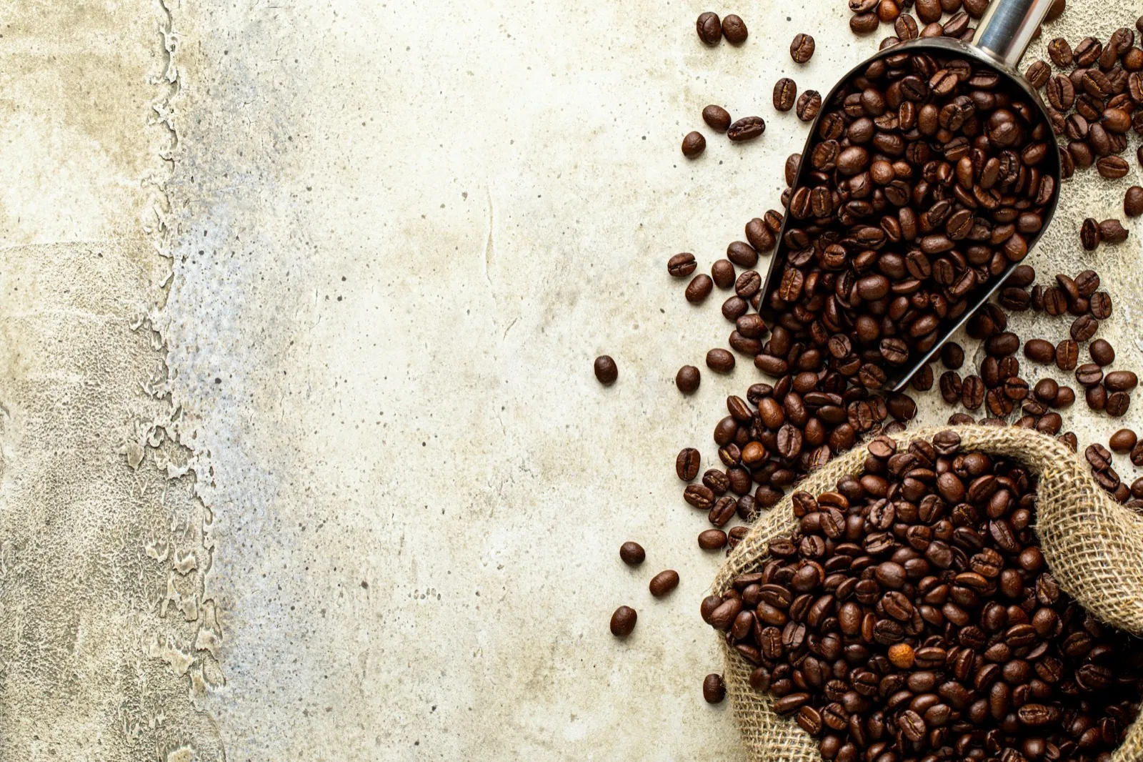 Ritual editorial · café Signa servido