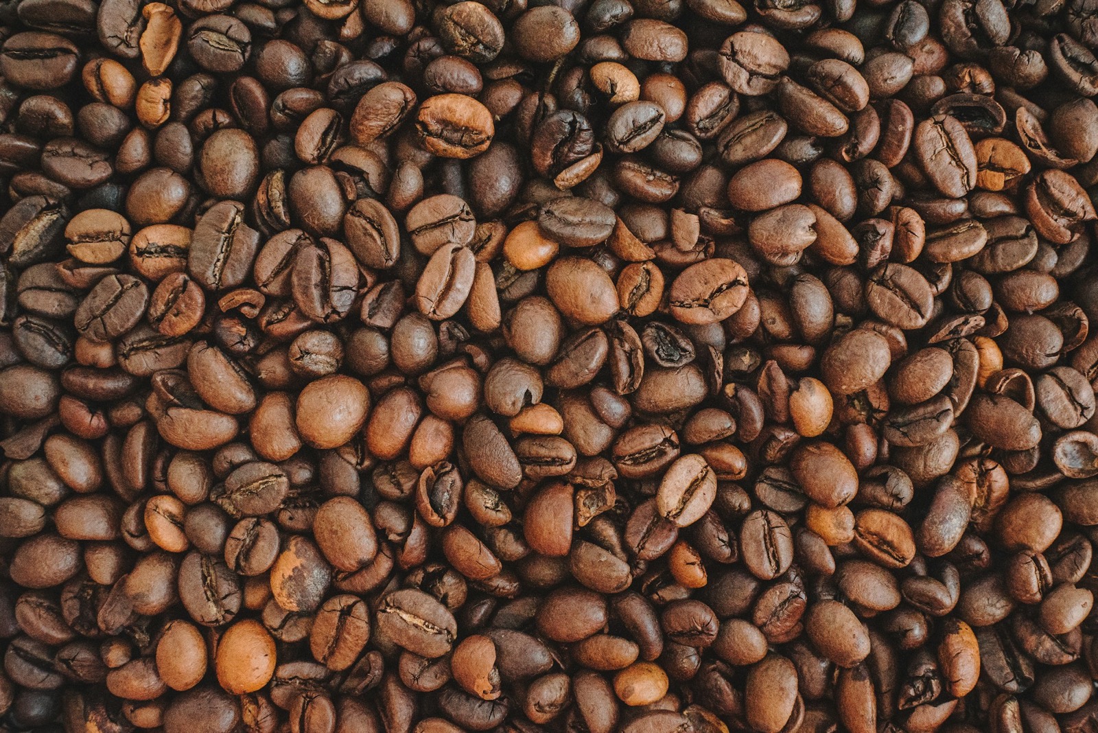 Plantação de café na Mantiqueira
